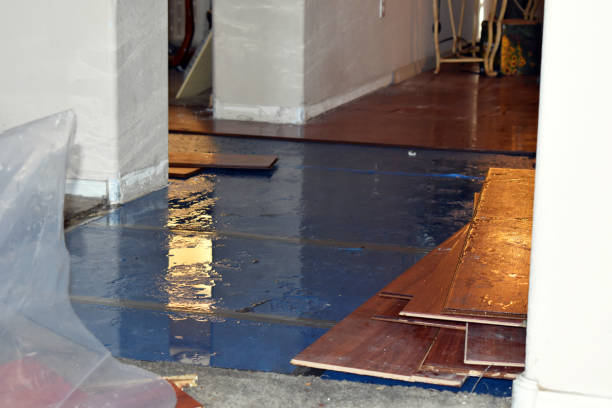 Professional Basement Flood Cleanup technician working in Odessa, TX